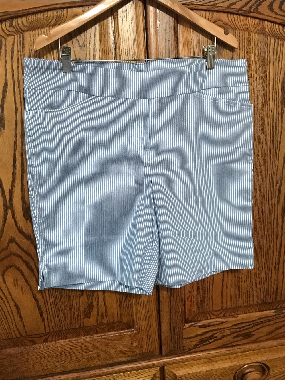 Hilary Radley XL Pull on Shorts Blue White Stripe NWOT